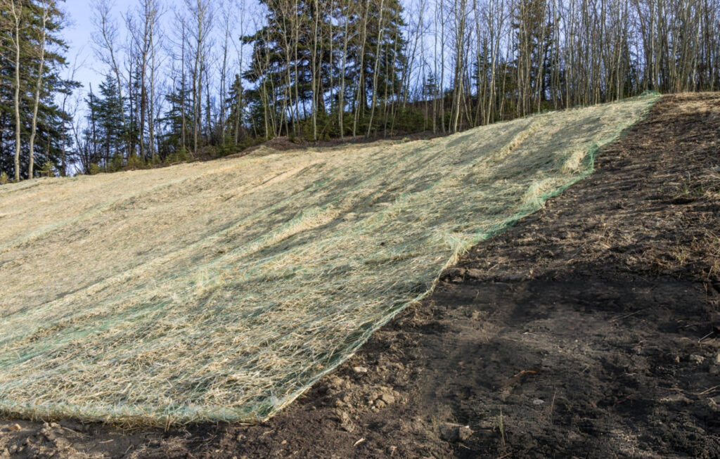 Soil Stabilization in Brunswick, GA